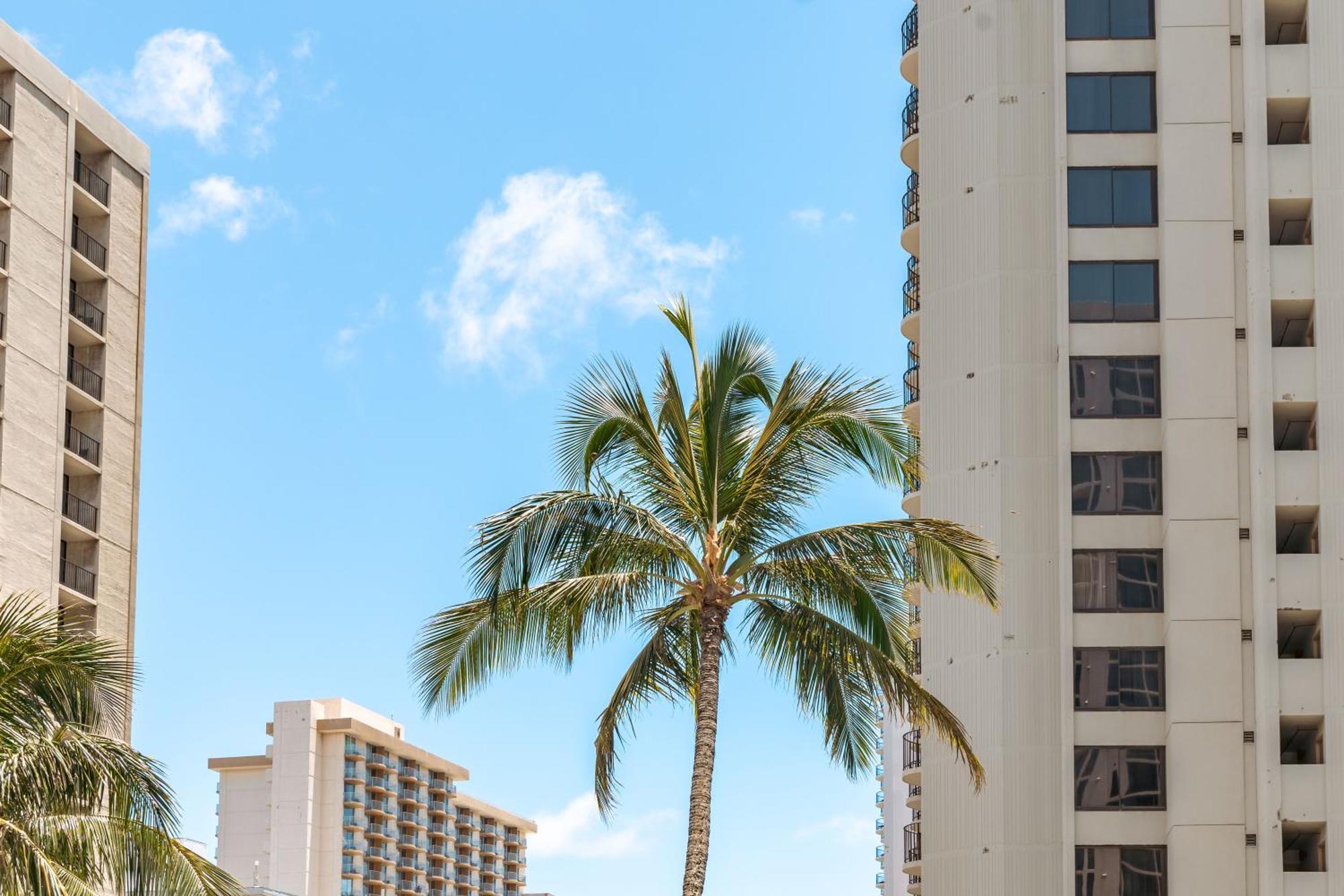 Beautiful Ocean And Diamond Head Views With Parking Appartement Honolulu Buitenkant foto