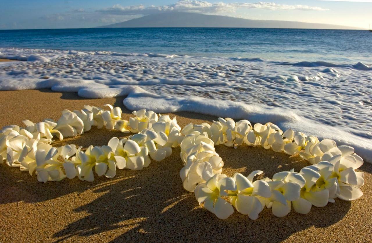 Beautiful Ocean And Diamond Head Views With Parking Appartement Honolulu Buitenkant foto